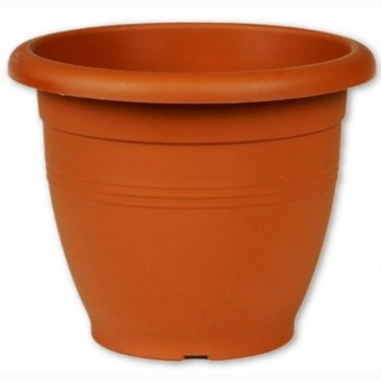 ΓΛΑΣΤΡΑ ΒΙΟΜΕΣ ΝΟ. 244...